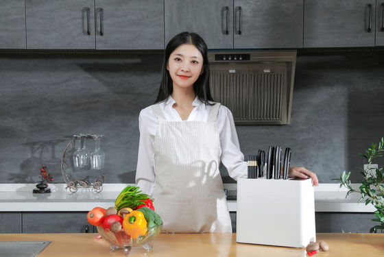 2022년 새로운 설계 범용성 자기를 띤 UV 소독 나이프와 포크 멸균 지적 나이프 홀더